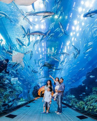 dubai-aquarium-and-underwater-zoo_img_616c83fa53bd6